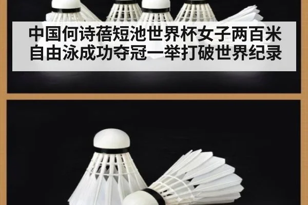 中国何诗蓓短池世界杯女子两百米自由泳成功夺冠一举打破世界纪录